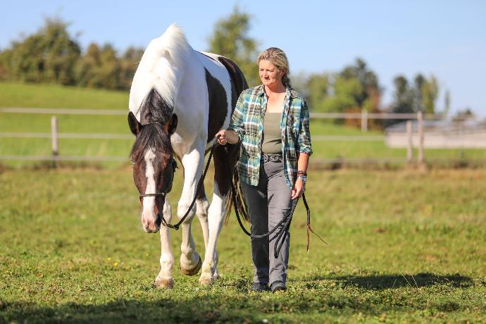 Selbständigkeit mit deinem Pferd