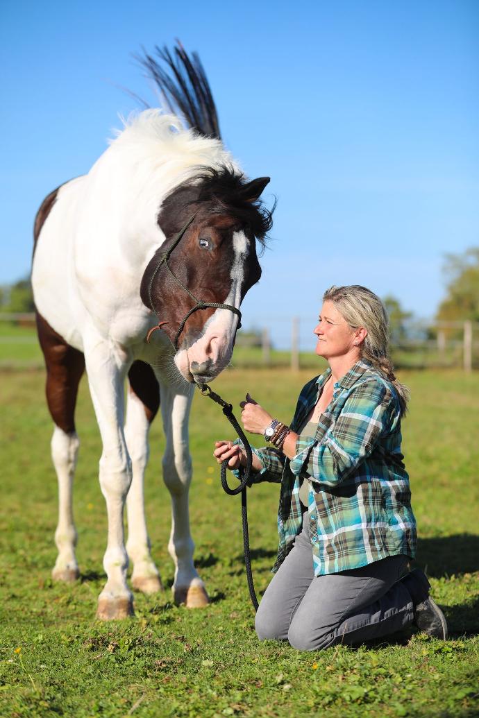 Reiten verfeinern