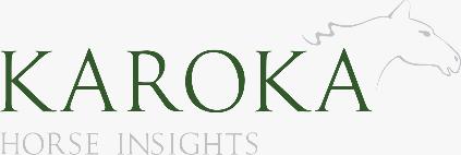 Karoka Horse Insight